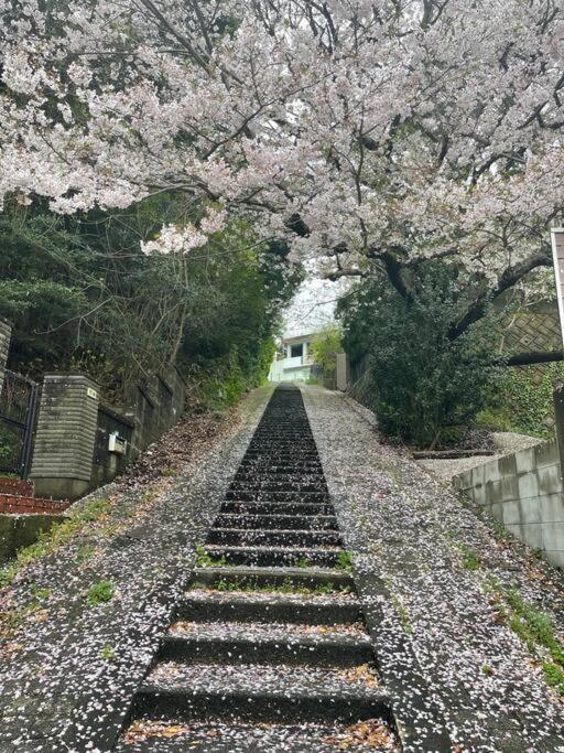 日本の松を贅沢に使った特別感のある別荘 Lemon Holiday home