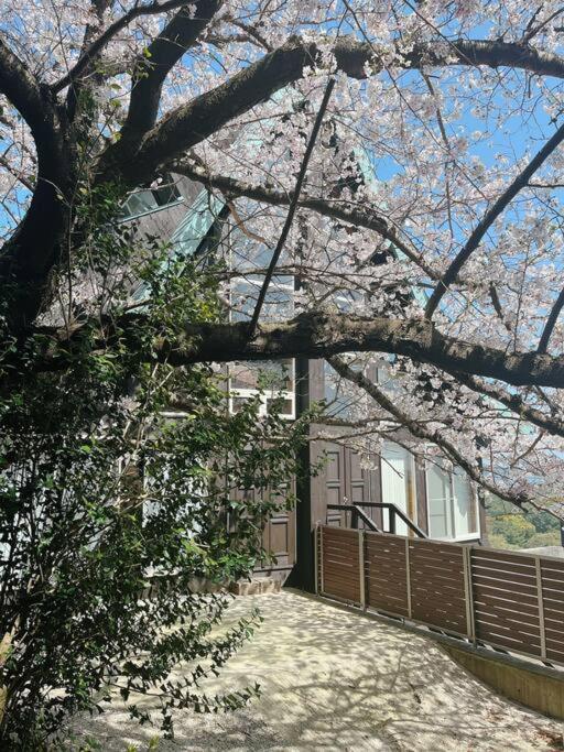 日本の松を贅沢に使った特別感のある別荘 Lemon * Fukuoka (Fukuoka)